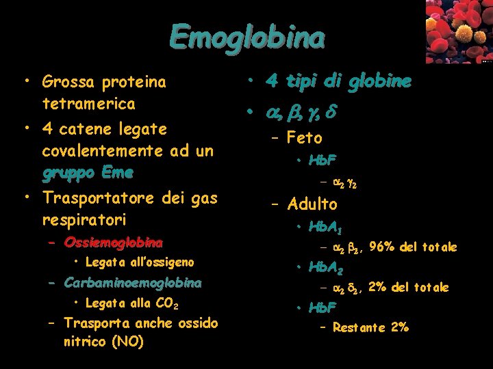 Emoglobina • Grossa proteina tetramerica • 4 catene legate covalentemente ad un gruppo Eme