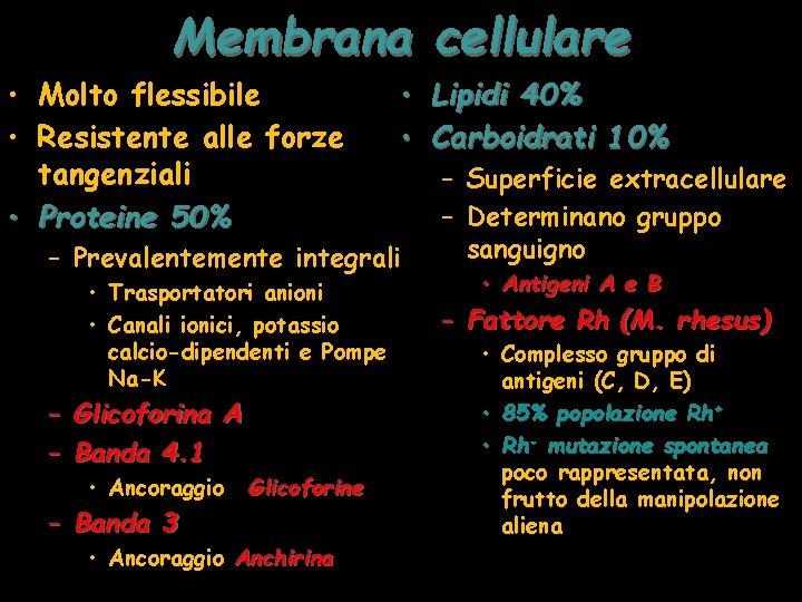 Membrana cellulare • Molto flessibile • Resistente alle forze tangenziali • Proteine 50% •