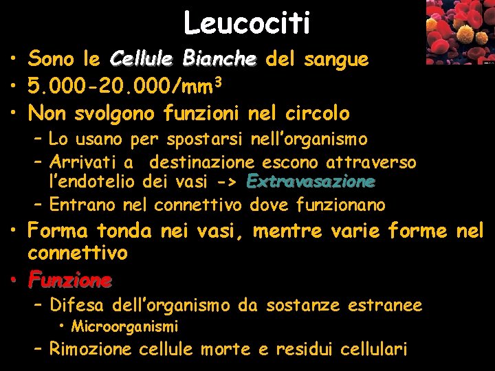 Leucociti • Sono le Cellule Bianche del sangue • 5. 000 -20. 000/mm 3