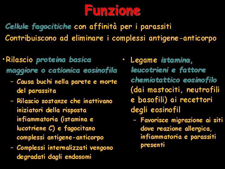 Funzione Cellule fagocitiche con affinità per i parassiti Contribuiscono ad eliminare i complessi antigene-anticorpo