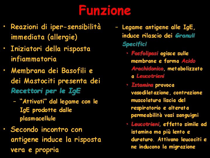 Funzione • Reazioni di iper-sensibilità immediata (allergie) • Iniziatori della risposta infiammatoria • Membrana