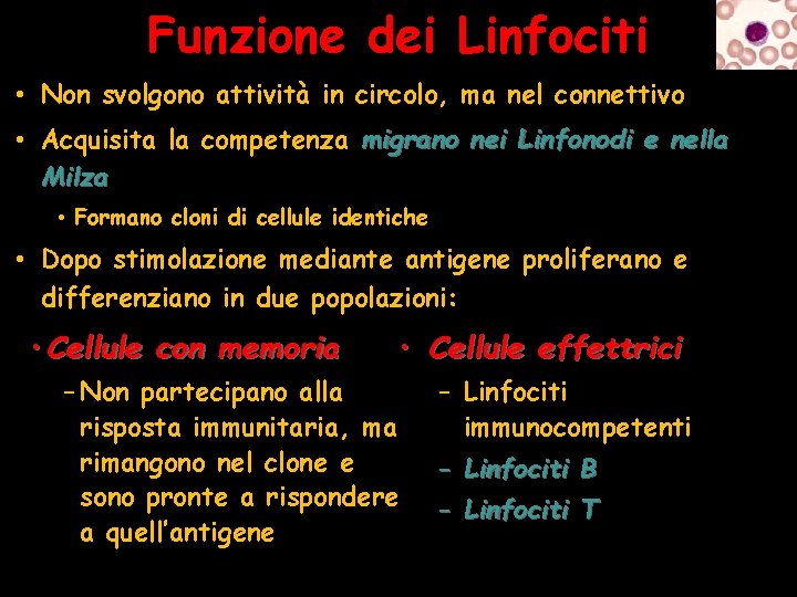 Funzione dei Linfociti • Non svolgono attività in circolo, ma nel connettivo • Acquisita