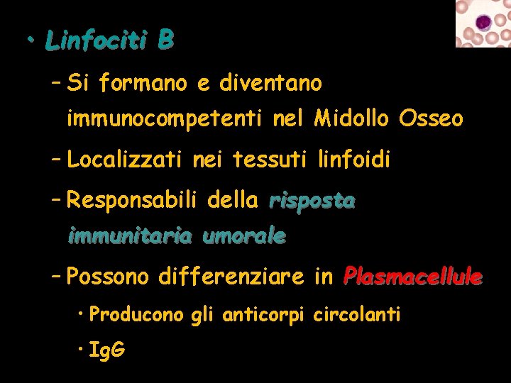  • Linfociti B – Si formano e diventano immunocompetenti nel Midollo Osseo –