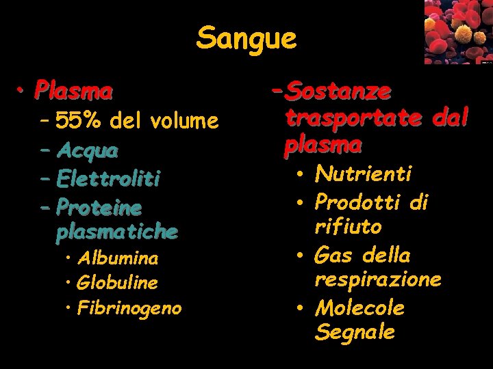 Sangue • Plasma – 55% del volume – Acqua – Elettroliti – Proteine plasmatiche