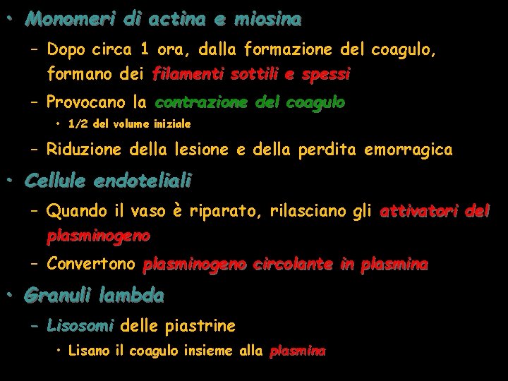  • Monomeri di actina e miosina – Dopo circa 1 ora, dalla formazione