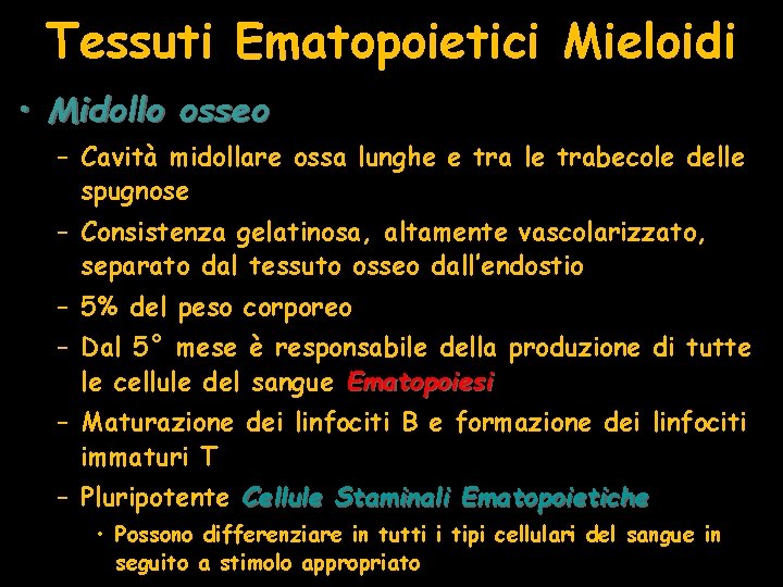 Tessuti Ematopoietici Mieloidi • Midollo osseo – Cavità midollare ossa lunghe e tra le