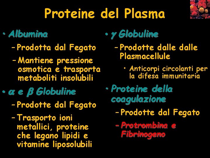 Proteine del Plasma • Albumina – Prodotta dal Fegato – Mantiene pressione osmotica e