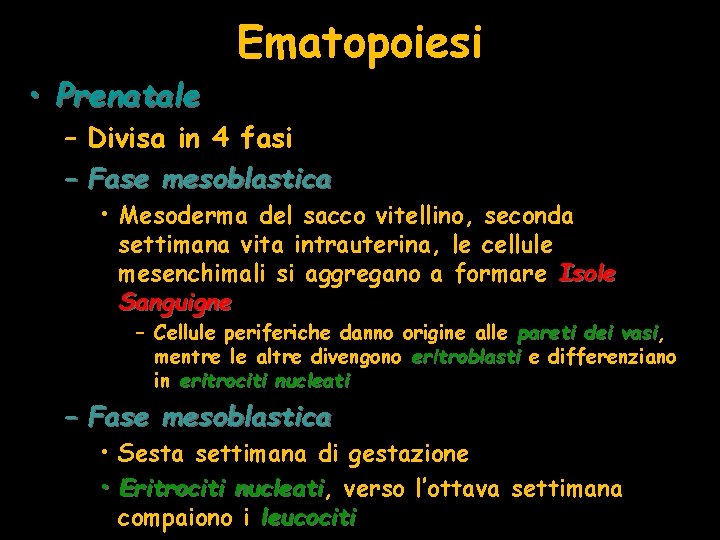  • Prenatale Ematopoiesi – Divisa in 4 fasi – Fase mesoblastica • Mesoderma