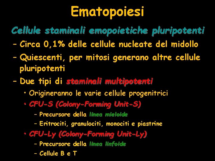 Ematopoiesi Cellule staminali emopoietiche pluripotenti – Circa 0, 1% delle cellule nucleate del midollo
