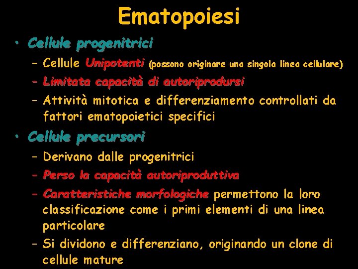 Ematopoiesi • Cellule progenitrici – Cellule Unipotenti (possono originare una singola linea cellulare) –