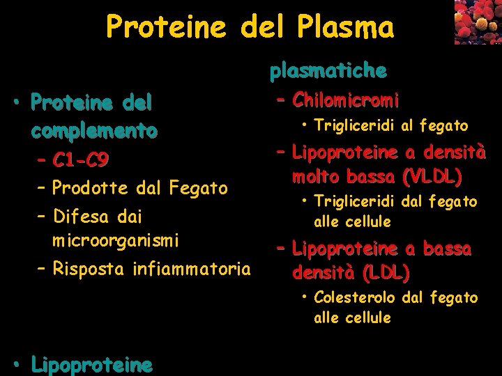 Proteine del Plasma plasmatiche • Proteine del complemento – C 1 -C 9 –