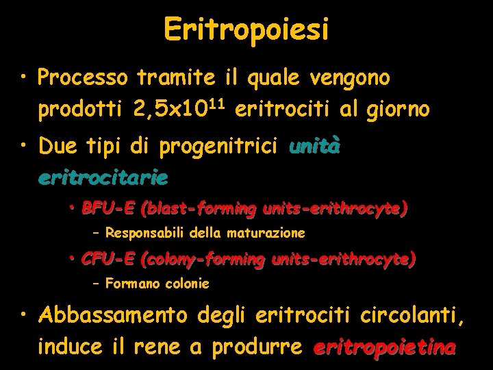 Eritropoiesi • Processo tramite il quale vengono prodotti 2, 5 x 1011 eritrociti al