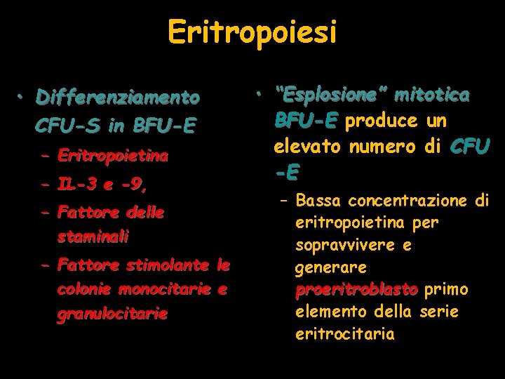 Eritropoiesi • Differenziamento CFU-S in BFU-E – Eritropoietina – IL-3 e -9, – Fattore