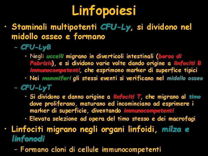 Linfopoiesi • Staminali multipotenti CFU-Ly, CFU-Ly si dividono nel midollo osseo e formano –