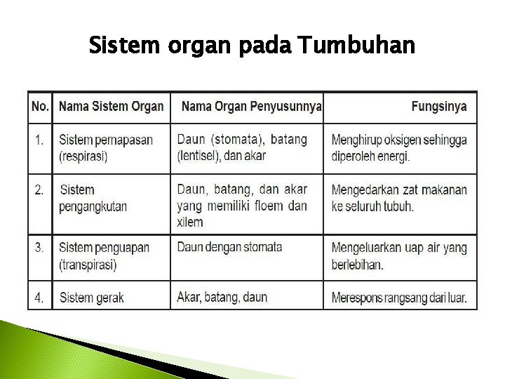 Sistem organ pada Tumbuhan 