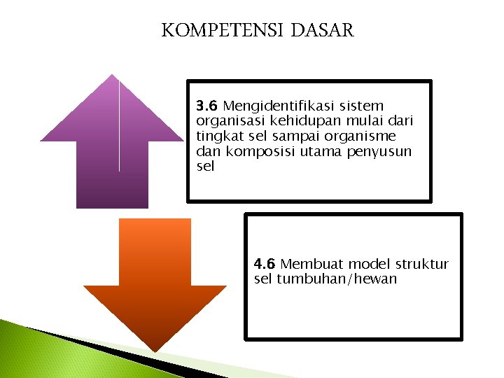 KOMPETENSI DASAR 3. 6 Mengidentifikasi sistem organisasi kehidupan mulai dari tingkat sel sampai organisme