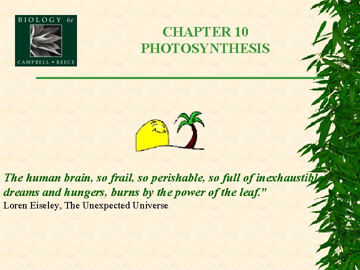 CHAPTER 10 PHOTOSYNTHESIS The human brain, so frail, so perishable, so full of inexhaustible