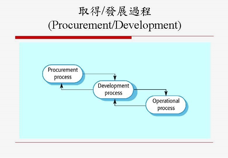 取得/發展過程 (Procurement/Development) 