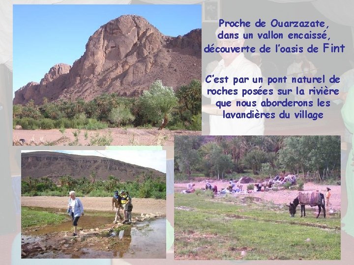 Proche de Ouarzazate, dans un vallon encaissé, découverte de l’oasis de Fint C’est par