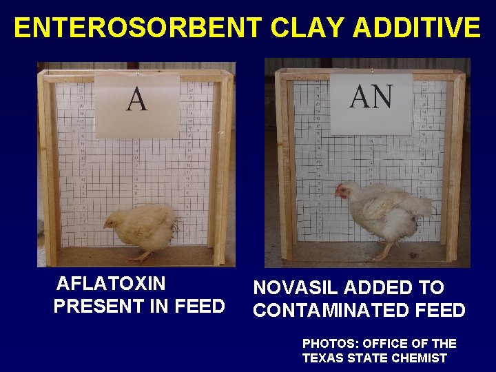 ENTEROSORBENT CLAY ADDITIVE AFLATOXIN PRESENT IN FEED NOVASIL ADDED TO CONTAMINATED FEED PHOTOS: OFFICE