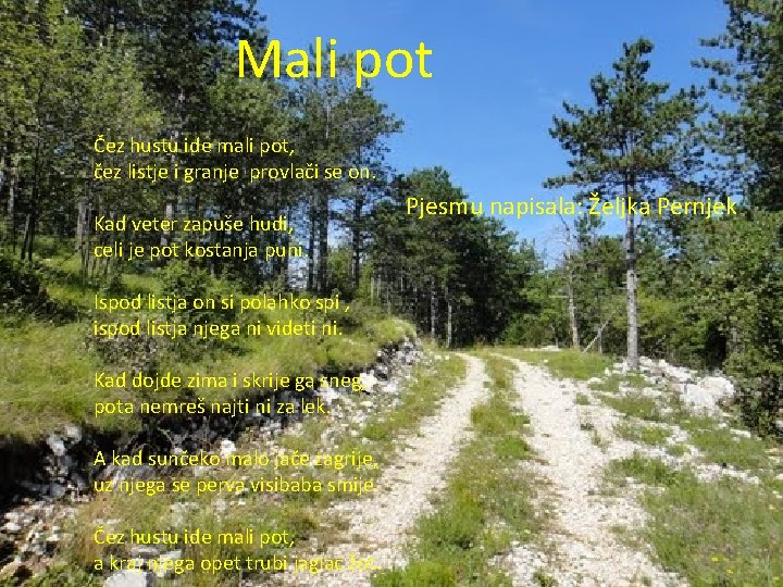 Mali pot Čez hustu ide mali pot, čez listje i granje provlači se on.