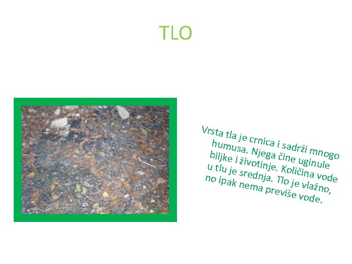 TLO Vrsta t la je cr nica i s humus a. Njeg adrži mno