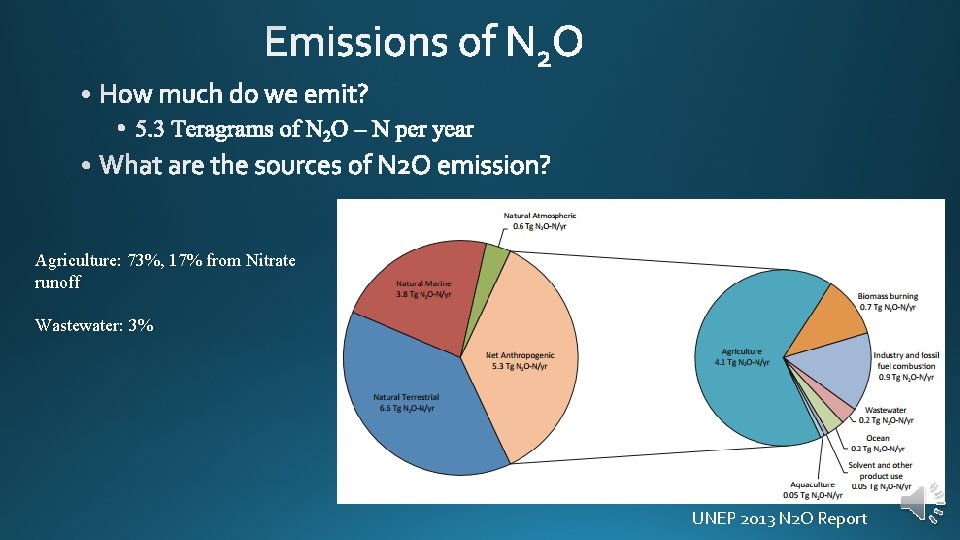 Agriculture: 73%, 17% from Nitrate runoff Wastewater: 3% UNEP 2013 N 2 O Report