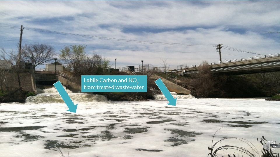 Labile Carbon and NO 3 from treated wastewater 