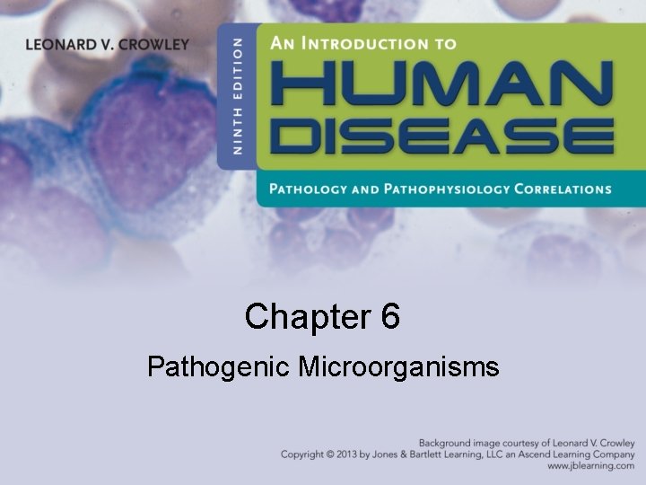 Chapter 6 Pathogenic Microorganisms 