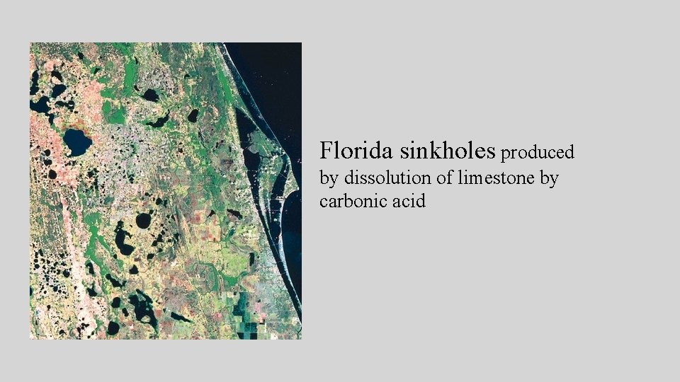 Florida sinkholes produced by dissolution of limestone by carbonic acid Florida sinkholes produced by dissolution of limestone by carbonic acid