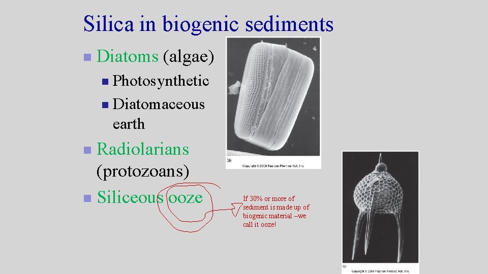 Silica in biogenic sediments n Diatoms (algae) Photosynthetic n Diatomaceous earth n Radiolarians (protozoans) Silica in biogenic sediments n Diatoms (algae) Photosynthetic n Diatomaceous earth n Radiolarians (protozoans)
