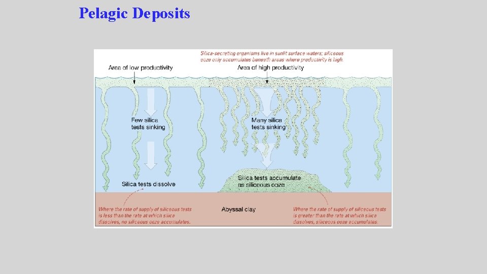 Pelagic Deposits Pelagic Deposits