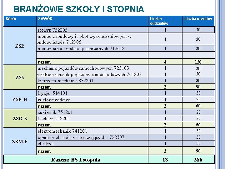 BRANŻOWE SZKOŁY I STOPNIA Szkoła ZSB ZSS ZSE-H ZSG-S ZSM-E ZAWÓD Liczba oddziałów Liczba