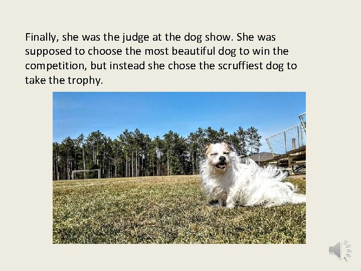 Finally, she was the judge at the dog show. She was supposed to choose