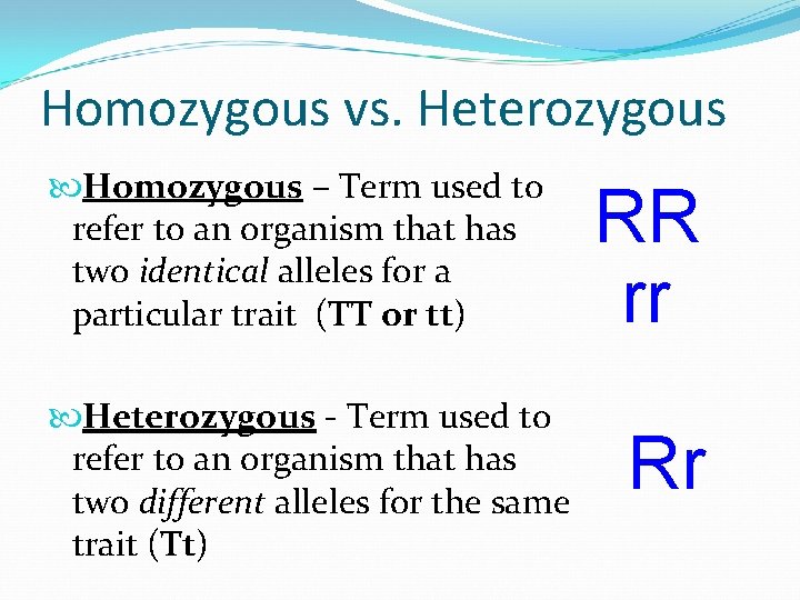 Homozygous vs. Heterozygous Homozygous – Term used to refer to an organism that has