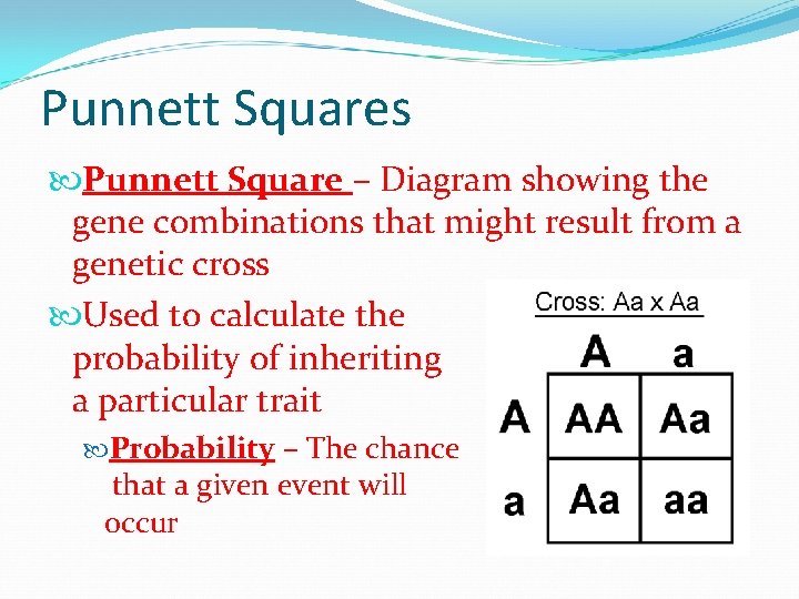 Punnett Squares Punnett Square – Diagram showing the gene combinations that might result from