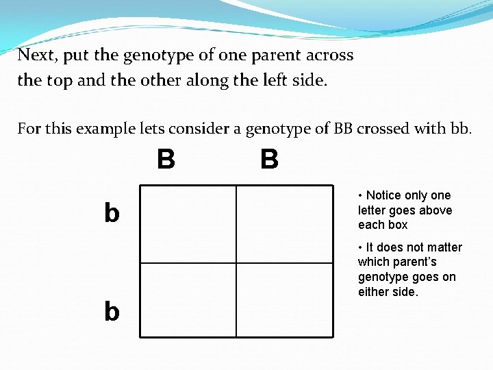 Next, put the genotype of one parent across the top and the other along