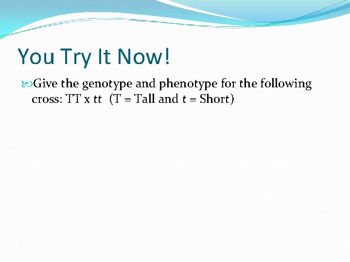 You Try It Now! Give the genotype and phenotype for the following cross: TT