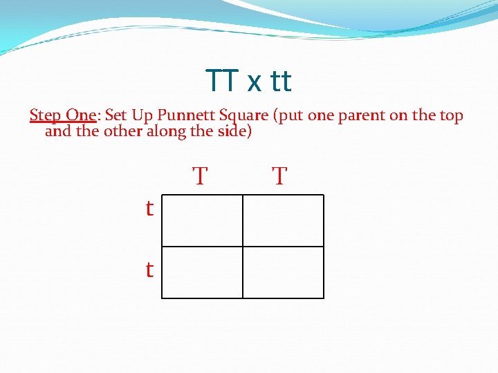 TT x tt Step One: Set Up Punnett Square (put one parent on the