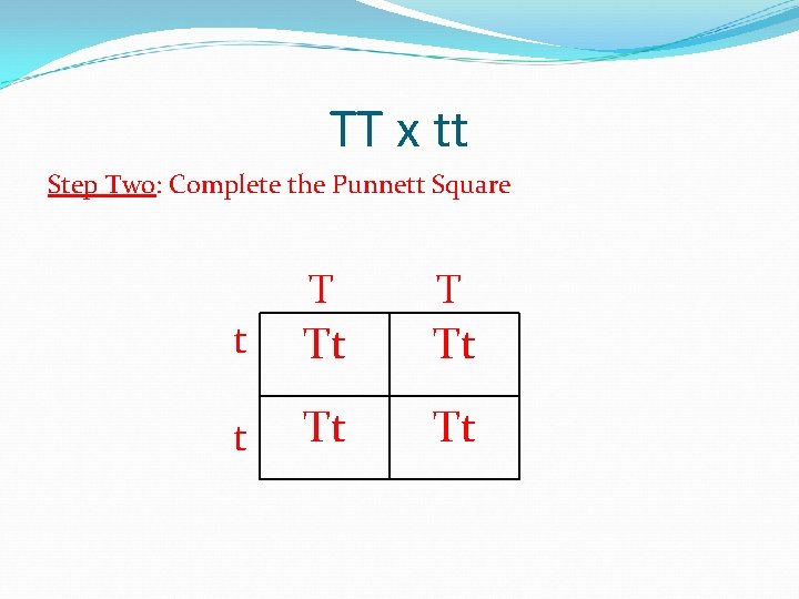 TT x tt Step Two: Complete the Punnett Square t T T Tt Tt