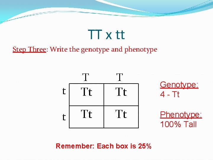 TT x tt Step Three: Write the genotype and phenotype t T T Tt