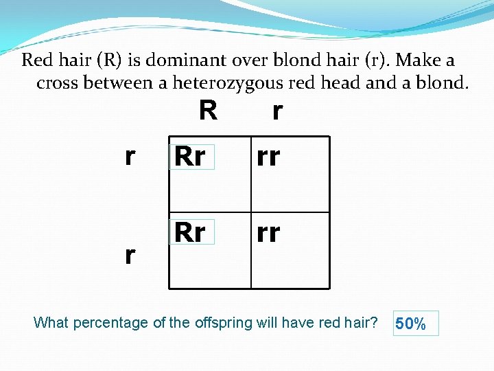 Red hair (R) is dominant over blond hair (r). Make a cross between a