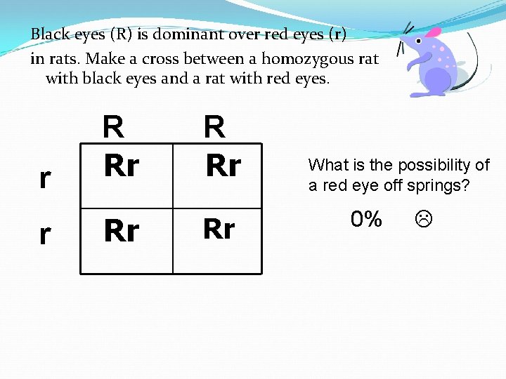 Black eyes (R) is dominant over red eyes (r) in rats. Make a cross