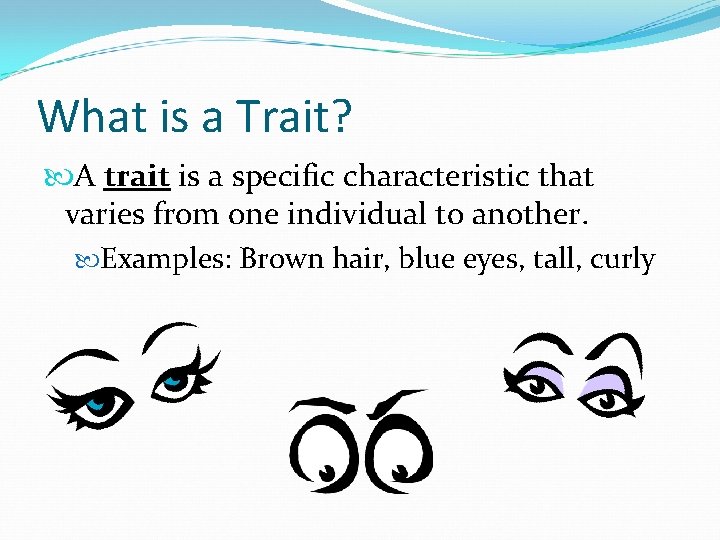 What is a Trait? A trait is a specific characteristic that varies from one