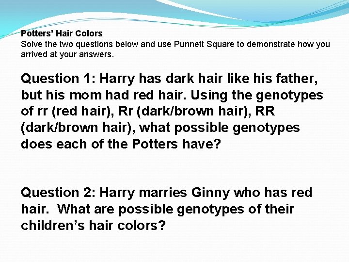Potters’ Hair Colors Solve the two questions below and use Punnett Square to demonstrate
