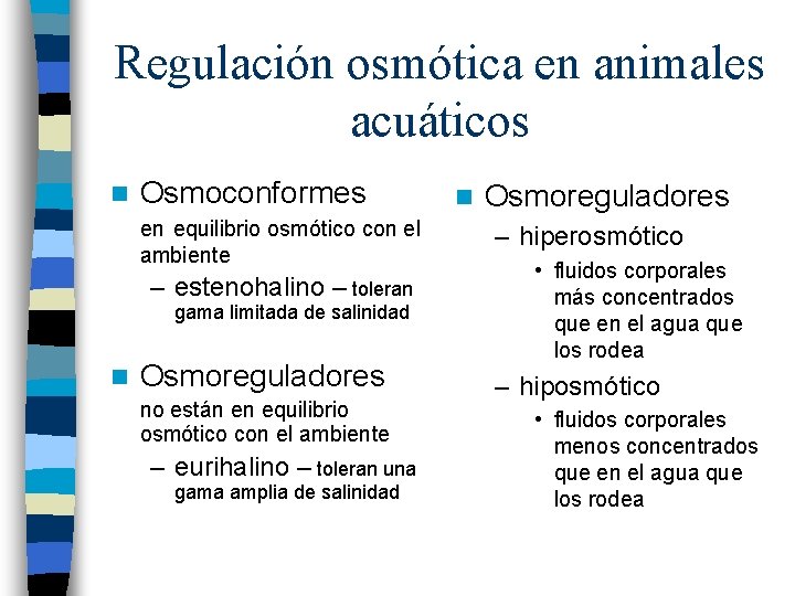 Regulación osmótica en animales acuáticos n Osmoconformes en equilibrio osmótico con el ambiente –