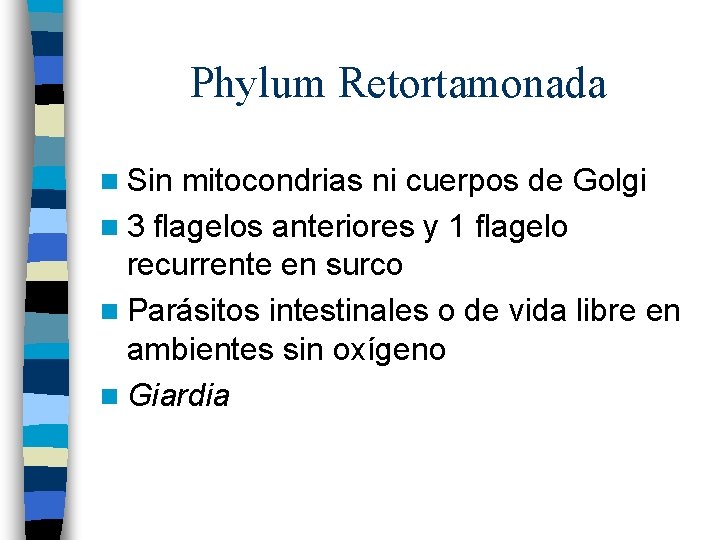 Phylum Retortamonada n Sin mitocondrias ni cuerpos de Golgi n 3 flagelos anteriores y