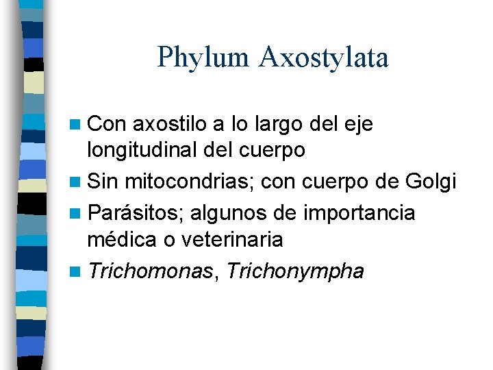 Phylum Axostylata n Con axostilo a lo largo del eje longitudinal del cuerpo n