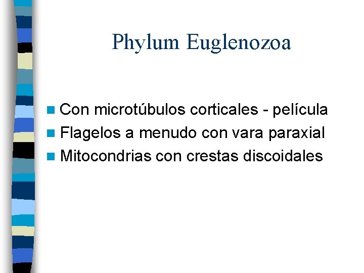 Phylum Euglenozoa n Con microtúbulos corticales - película n Flagelos a menudo con vara