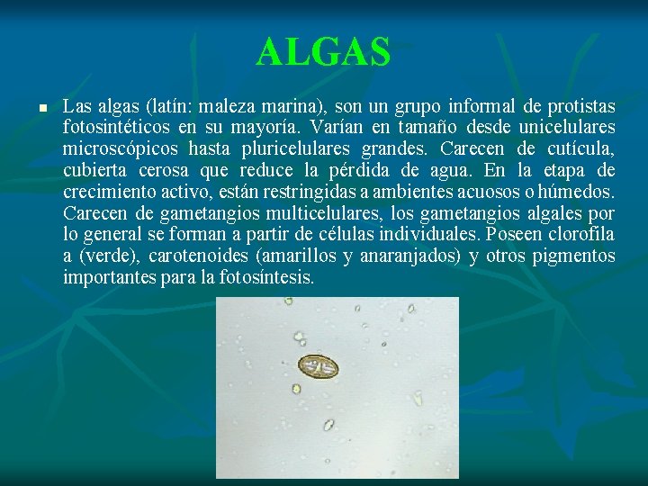 ALGAS n Las algas (latín: maleza marina), son un grupo informal de protistas fotosintéticos